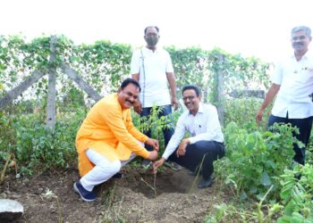 नैसर्गिक प्राणवायू देणारे वृक्ष जोपासण्यासाठी भारत विकास परिषदेचा पुढाकार