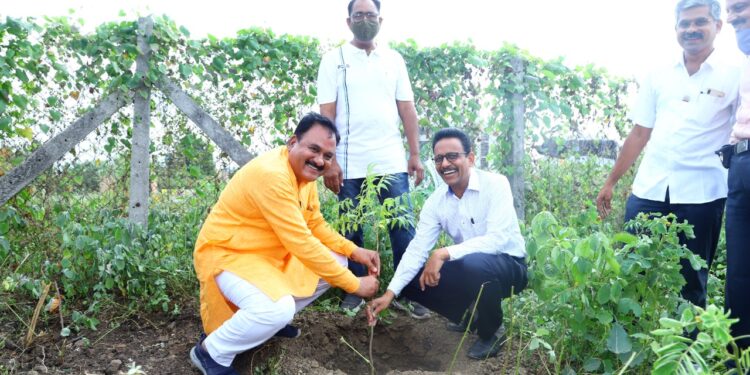 नैसर्गिक प्राणवायू देणारे वृक्ष जोपासण्यासाठी भारत विकास परिषदेचा पुढाकार