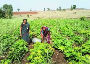राष्ट्रीय शाश्वत शेती अभियानातंर्गत वनशेती उपअभियानाचा शेतकऱ्यांनी लाभ घेण्याचे आवाहन