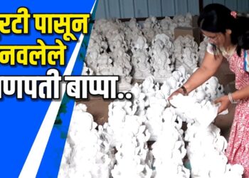 तुरटी पासून बनवली गणेश मूर्ती- VIDEO