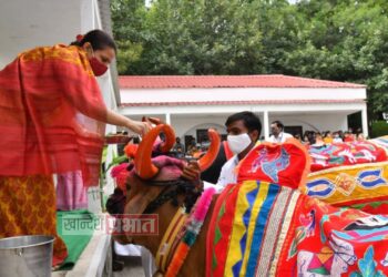 जैन हिल्सवर प्रातिनिधीक पोळा साजरा VIDEO