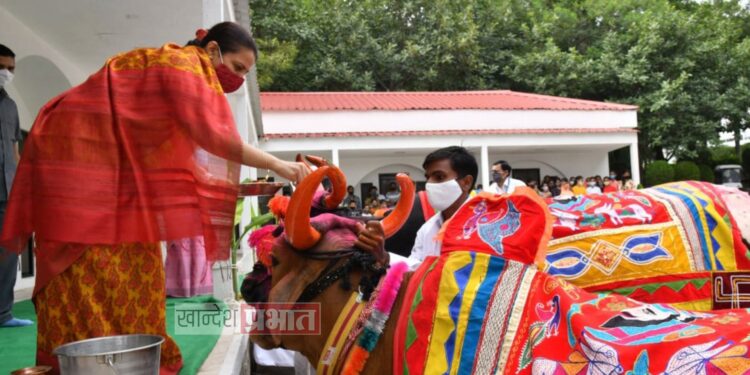 जैन हिल्सवर प्रातिनिधीक पोळा साजरा VIDEO