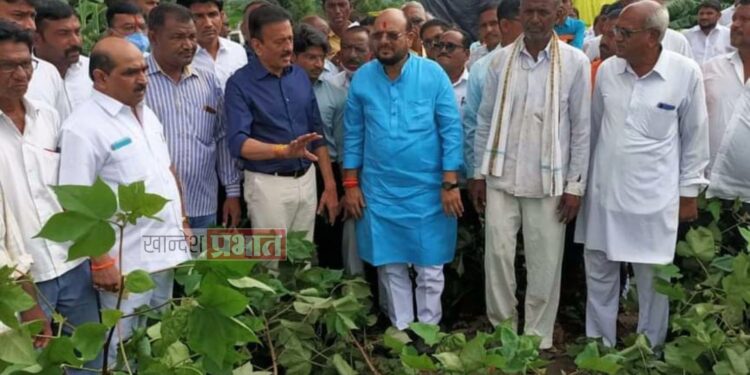 नुकसानग्रस्त शेतकऱ्यांना भरपाई देण्यास राज्य शासन बांधील.. -पालकमंत्री गुलाबराव पाटील