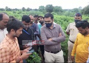 ई-पीक पाहणी साठी जिल्हाधिकारी पोहचले शेतकऱ्याच्या बांधावर