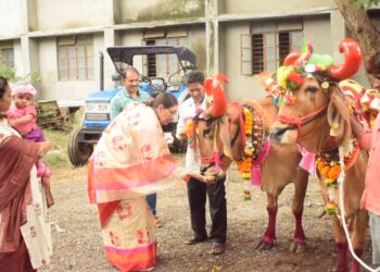 सर्जाराजाचा पोळा सण डॉ.उल्हास पाटील कृषी महाविद्यालयात साजरा