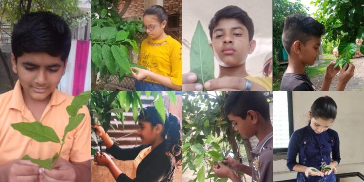 विद्यार्थ्यांनी घेतले निसर्गाच्या सानिध्यात अभ्यासाचे धडे