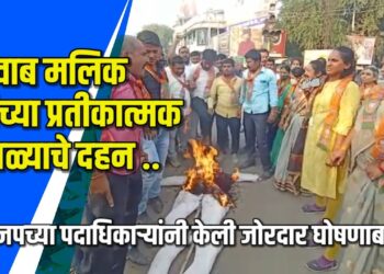 नवाब मलिक यांच्या प्रतिकात्मक पुतळ्याचे दहन VIDEO