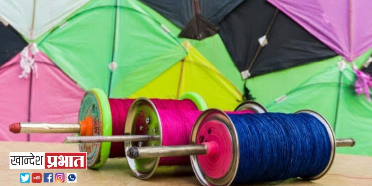 जिल्ह्यात नायलॉन मांजावर कायमस्वरूपी बंदी जिल्हाधिकारी अभिजित राऊत यांचे आदेश