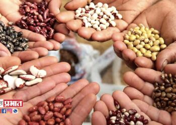 मराठी प्रतिष्ठान तर्फे बिया संकलन स्पर्धा