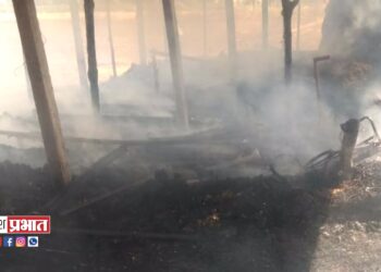 गुरांच्या गोठ्याला आग ; शेतीअवजारे, चारा जळून खाक