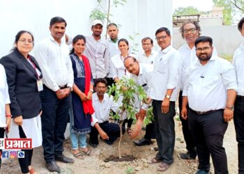 डॉ.उल्हास पाटील विधी महाविद्यालयात वृक्षारोपणाने जागतिक वसुंधरा दिन साजरा