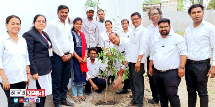 डॉ.उल्हास पाटील विधी महाविद्यालयात वृक्षारोपणाने जागतिक वसुंधरा दिन साजरा