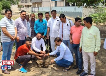 जागतिक पर्यावरण दिनानिमित्त वृक्षारोपण