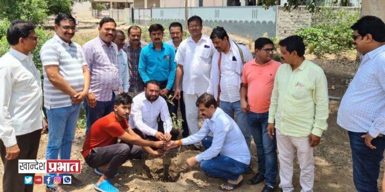 जागतिक पर्यावरण दिनानिमित्त वृक्षारोपण