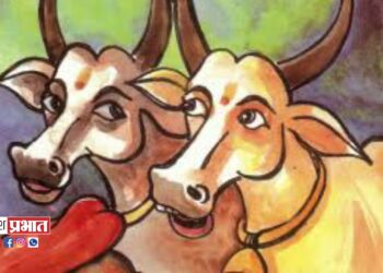 नव्वद हजारांची बैलजोडी घेऊन चोरटे पसार