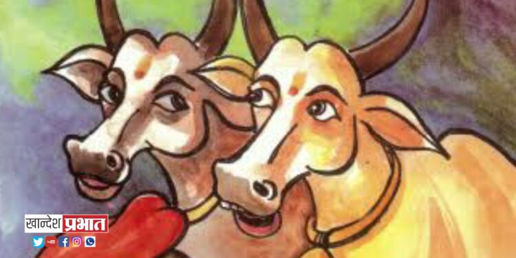 नव्वद हजारांची बैलजोडी घेऊन चोरटे पसार