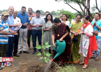 पर्यावरण समतोलासाठी वृक्षसंवर्धन महत्त्वाचे.. – जिल्हाधिकारी अभिजीत राऊत
