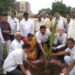वनसंवर्धन दिनानिमित्त गोविंद फालक नगरात वृक्षारोपण