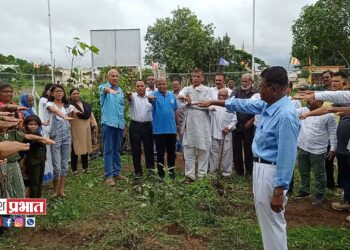 वृक्षसंवर्धन प्रत्येकाची जबाबदारी.. – आयुक्त विद्या गायकवाड