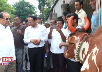 लम्पी स्कीन डीसीज झालेल्या जनावरांवर शासकीय पशुचिकित्सालयात उपचार करून घ्यावेत.. – मंत्री राधाकृष्ण विखे पाटील