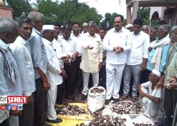 शेवाळे परिसरात ढगफुटीने शेती पिकांचे नुकसान