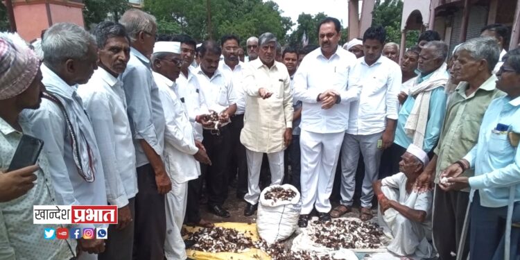 शेवाळे परिसरात ढगफुटीने शेती पिकांचे नुकसान