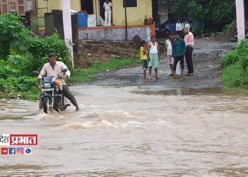 पिंपळकोठे येथील फरशी पुलाची दुरावस्था ; रस्ता ओके मात्र फरशीपुल जैसे थे !