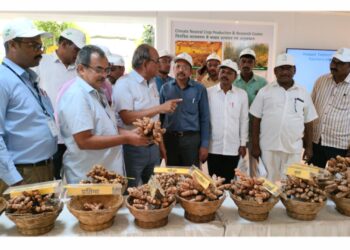 हळद पिकातून मिळेल आर्थिक समृद्धीचा मार्ग – डॉ.निर्मल बाबू