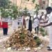 संत ज्ञानेश्वर विद्यालयात पर्यावरणपूरक होळी, धुलीवंदन उत्साहात