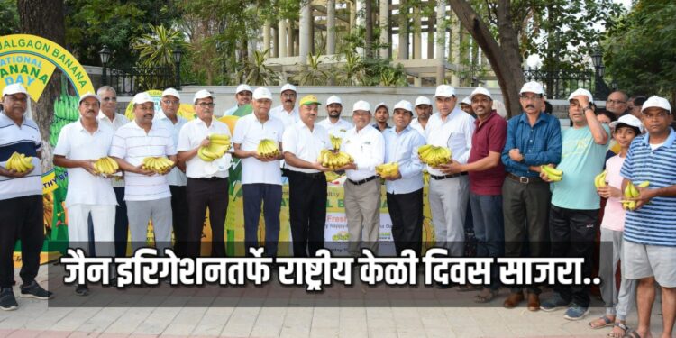 जैन इरिगेशनतर्फे राष्ट्रीय केळी दिवस साजरा