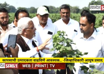 कापसाची उत्पादकता वाढविणे आवश्यक.. -जिल्हाधिकारी आयुष प्रसाद