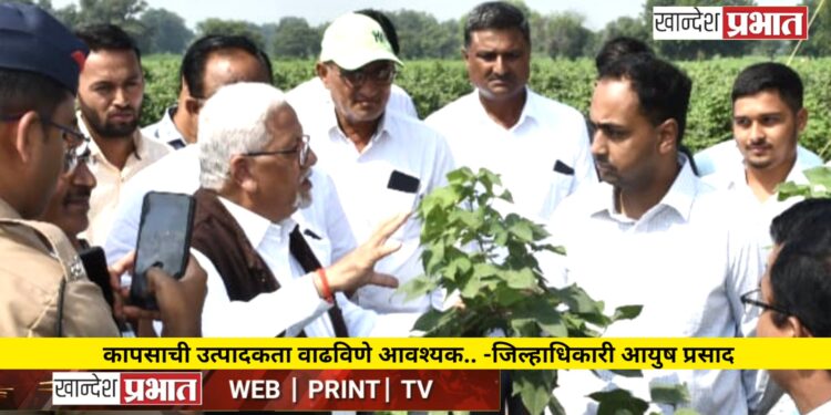 कापसाची उत्पादकता वाढविणे आवश्यक.. -जिल्हाधिकारी आयुष प्रसाद