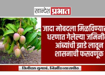 जादा मोबदला मिळविण्यासाठी धरणात गेलेल्या जमिनीवर आंब्यांची झाडे लावून शासनाची फसवणूक