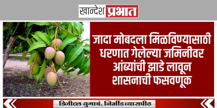 जादा मोबदला मिळविण्यासाठी धरणात गेलेल्या जमिनीवर आंब्यांची झाडे लावून शासनाची फसवणूक