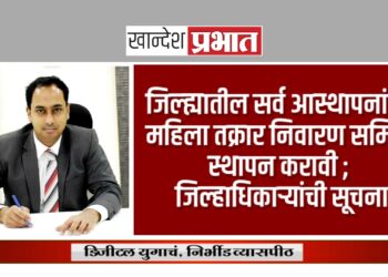 जिल्ह्यातील सर्व आस्थापनांनी महिला तक्रार निवारण समिती स्थापन करावी ; जिल्हाधिकाऱ्यांची सूचना