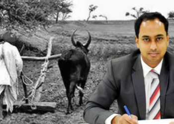 पीक विमा कंपन्यांनी शेतकऱ्यांना तात्काळ २५ टक्के अग्रीम नुकसान भरपाई द्यावी; जिल्हाधिकाऱ्यांचे निर्देश