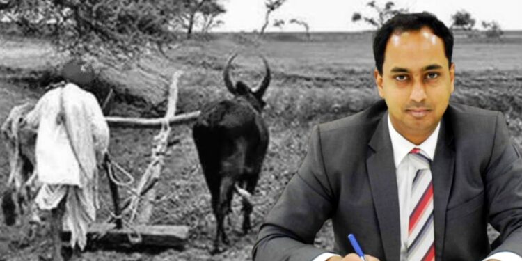 पीक विमा कंपन्यांनी शेतकऱ्यांना तात्काळ २५ टक्के अग्रीम नुकसान भरपाई द्यावी; जिल्हाधिकाऱ्यांचे निर्देश