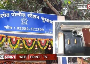 गावठी बनावटीचे पिस्टल व दोन जिवंत काडतुस हस्तगत