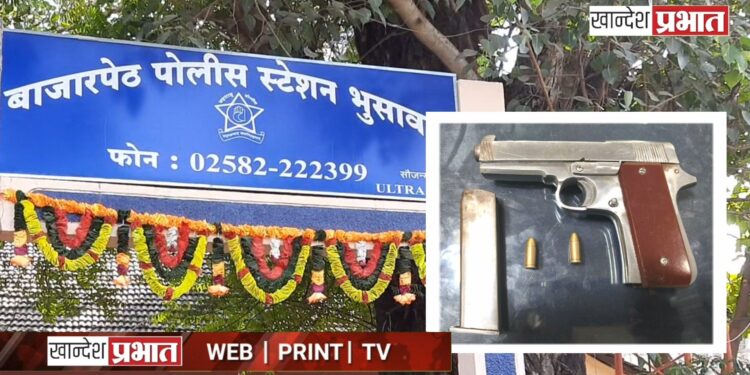 गावठी बनावटीचे पिस्टल व दोन जिवंत काडतुस हस्तगत