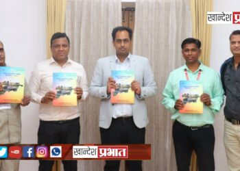 जिल्हा सामाजिक व आर्थिक समालोचन पुस्तिकेचे प्रकाशन