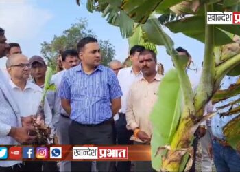 युवा शेतकऱ्यांमध्ये शेती क्षेत्रात परिवर्तन करण्याची ताकद.. – कृषी आयुक्त डॉ. प्रविण गेडाम