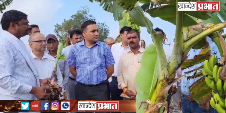 युवा शेतकऱ्यांमध्ये शेती क्षेत्रात परिवर्तन करण्याची ताकद.. – कृषी आयुक्त डॉ. प्रविण गेडाम