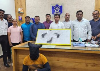 तीन गावठी पिस्तोल व जिंवत काडतुसह एकास अटक