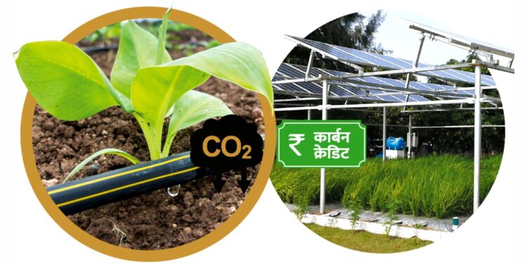 जैन इरिगेशन कंपनीच्या ‘एग्रीकल्चर फॉरेस्टरी अँड अदर लँड यूज’ प्रकल्पामध्ये सहभागी होण्याचे आवाहन