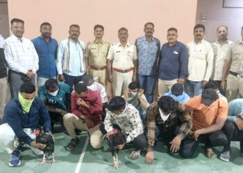 कोंबड्याच्या झुंझी लावुन सट्टा खेळणाऱ्या ११ जणांवर पोलिसांची कारवाई