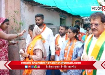 शिवाजीनगर परिसरात महायुती उमेदवार स्मिताताई वाघ यांना नागरिकांचा उत्स्फूर्त प्रतिसाद