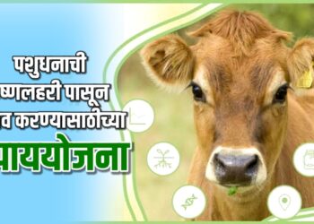पशुधनाची उष्णलहरी पासून करा बचाव…!