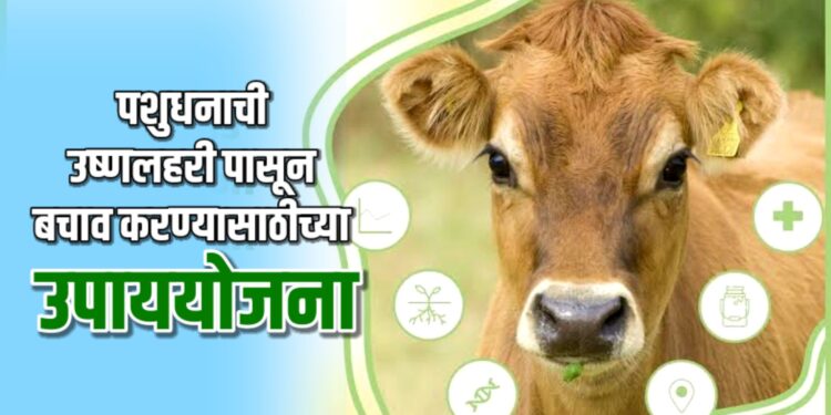 पशुधनाची उष्णलहरी पासून करा बचाव…!
