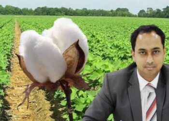 खरीप हंगामात कापूस पिकातंर्गत कडधान्याची लागवड करा.. – जिल्हाधिकारी