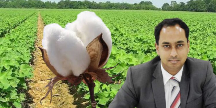 खरीप हंगामात कापूस पिकातंर्गत कडधान्याची लागवड करा.. – जिल्हाधिकारी
